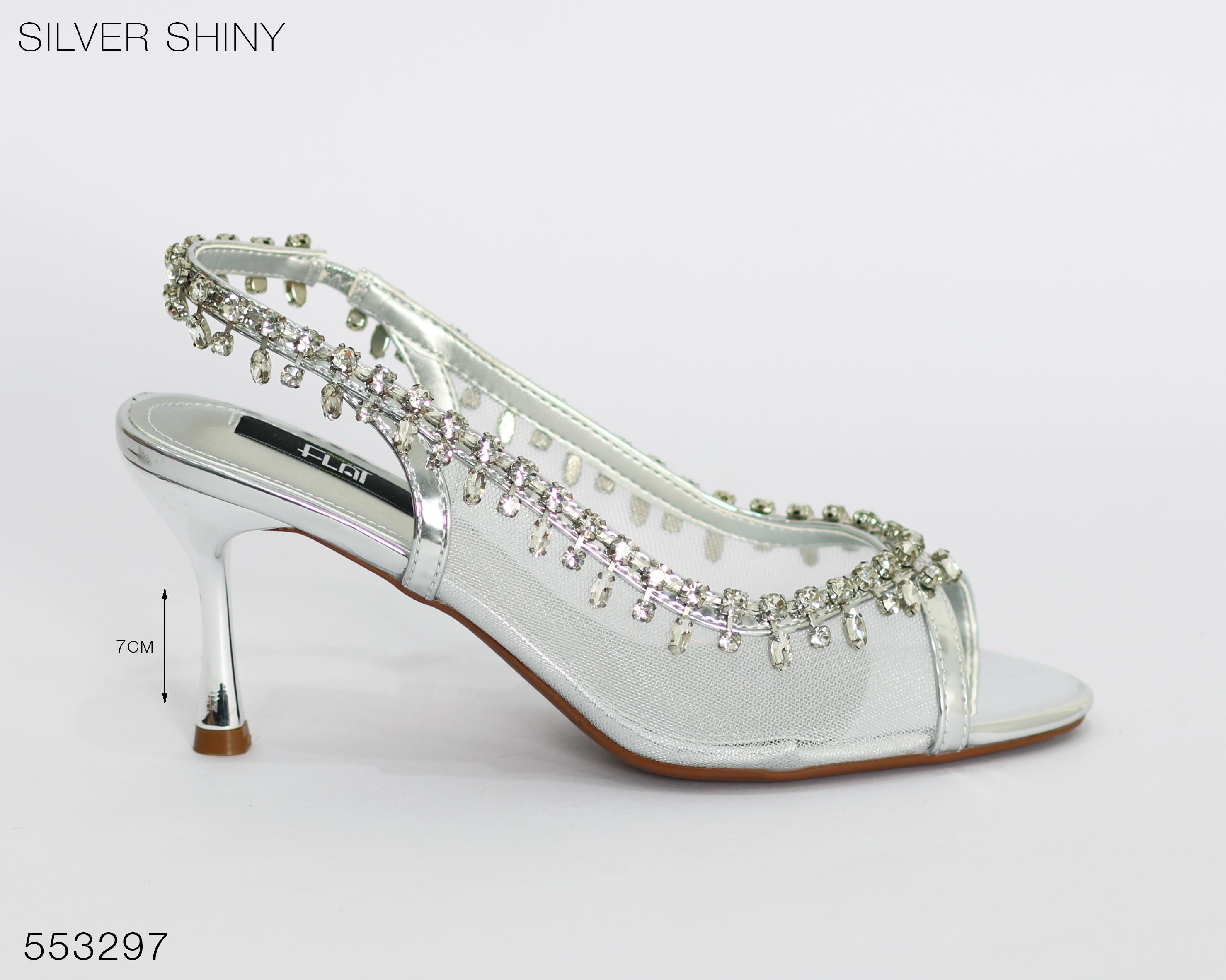 Silver Shiny